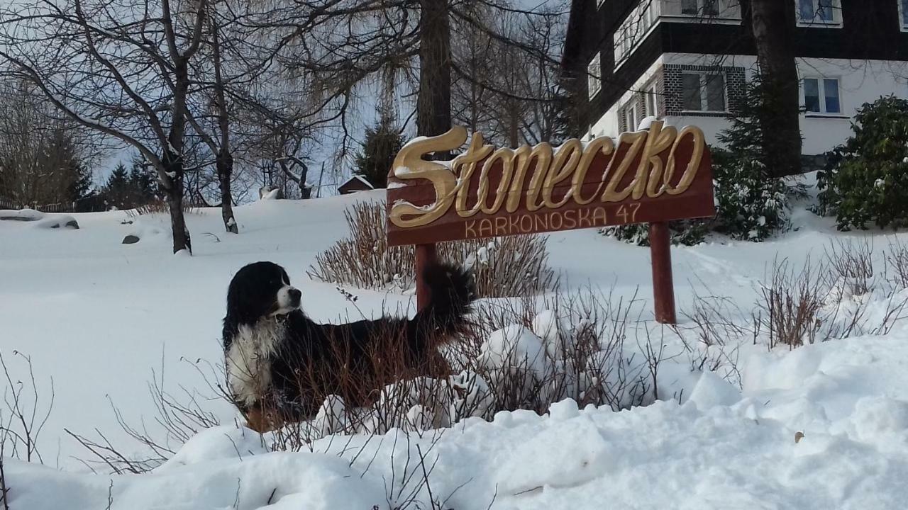 Sloneczko Apartment Карпач Екстериор снимка